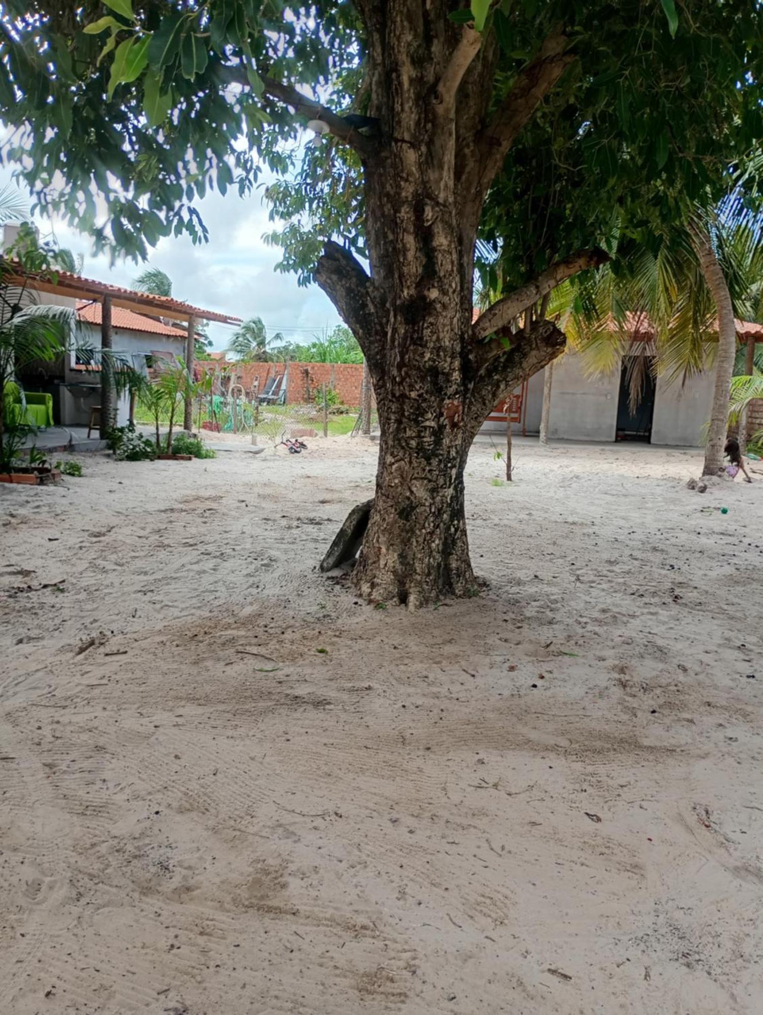 Pousada Shalom E Hostel Holly Land Santo Amaro do Maranhao Luaran gambar