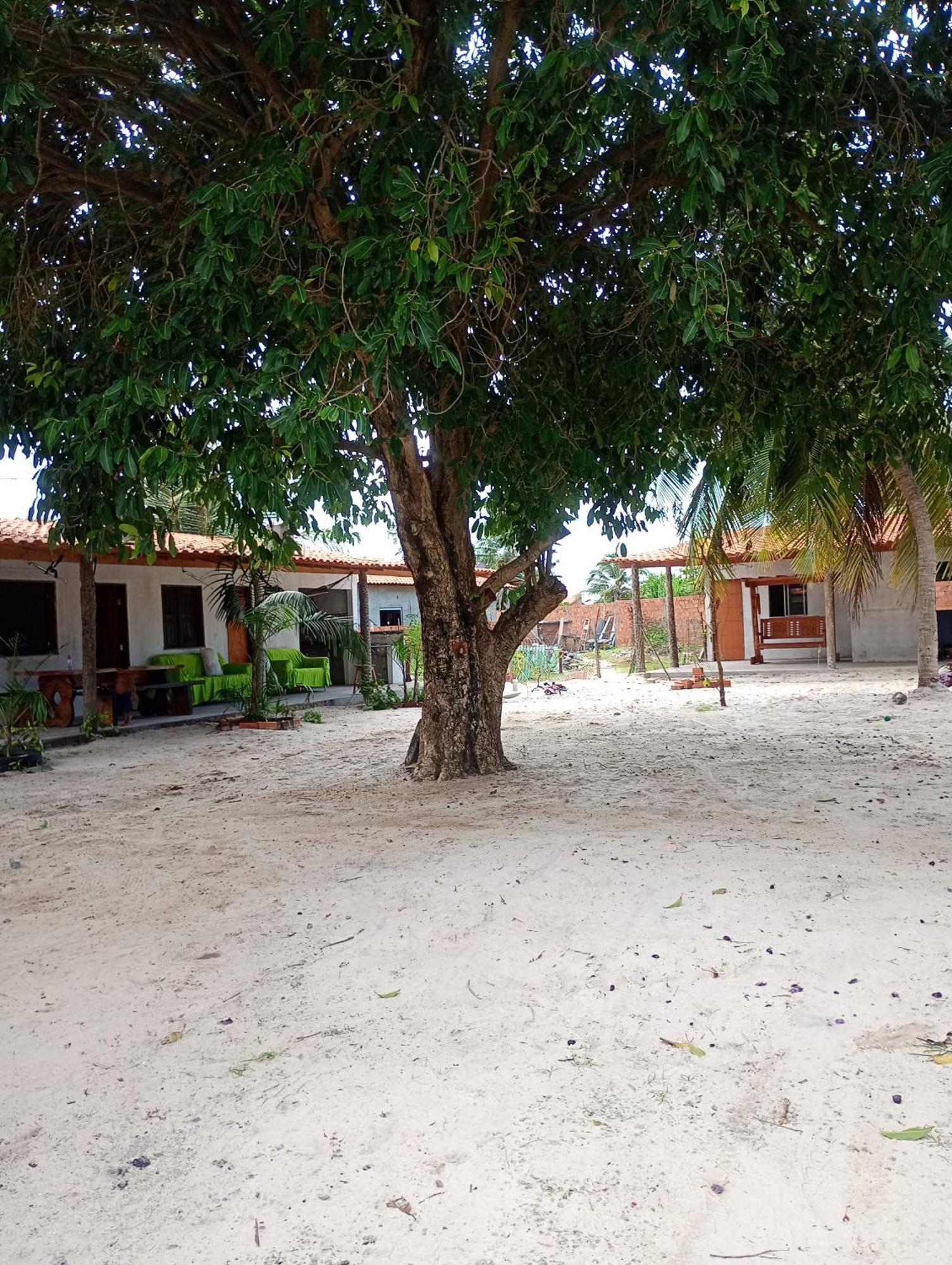 Pousada Shalom E Hostel Holly Land Santo Amaro do Maranhao Luaran gambar